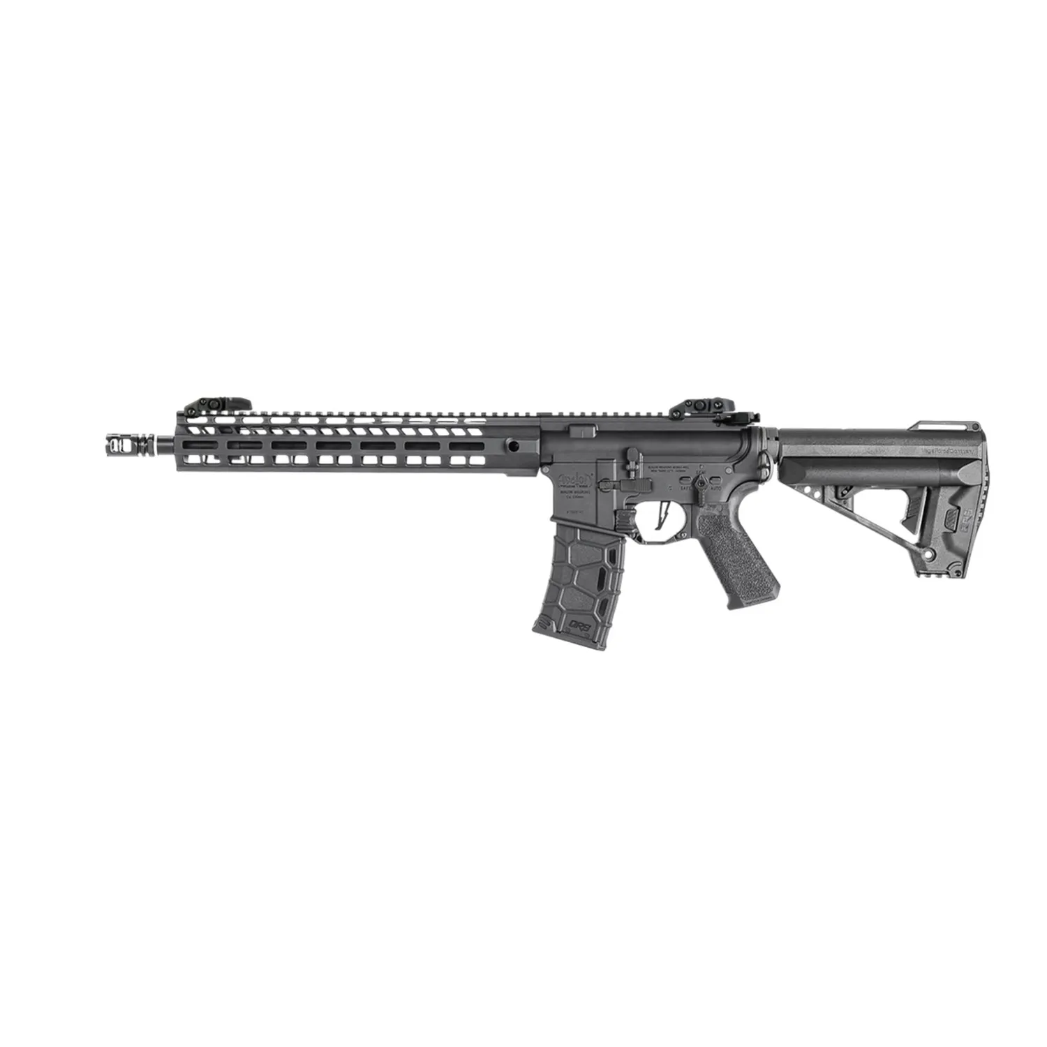 VFC Avalon